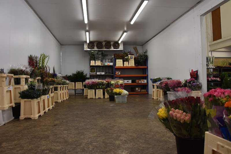 Cheltenham & Gloucester Flowers photo 2
