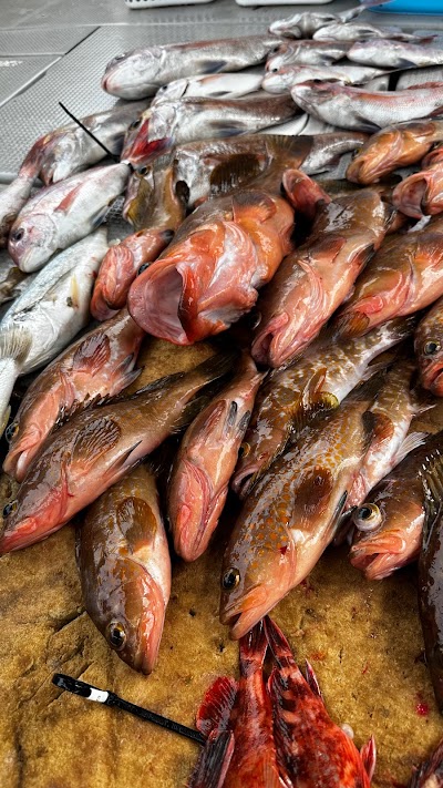 遊漁船 Make line 優星丸