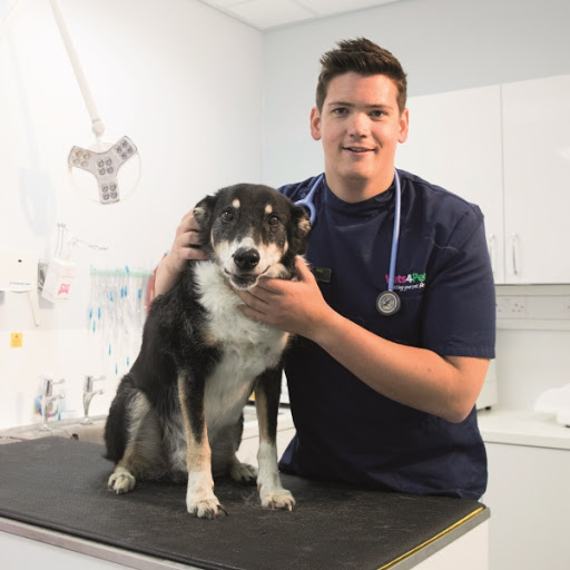 Vets4Pets - Sydenham - Thumbnail