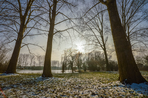 Hooilandvijver - Thumbnail