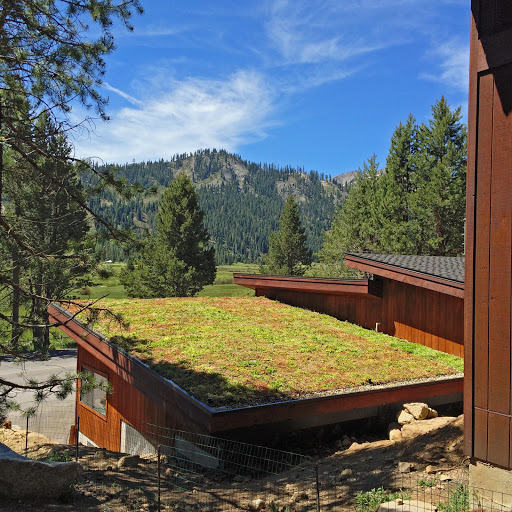 Living Roofs, Inc. Gallery - United States