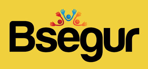 Bsegur - Visual