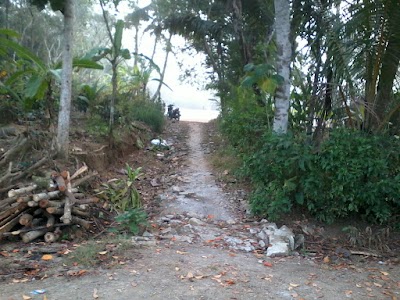 Photos of Lapangan Ds Pulasari