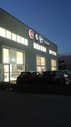 Carlomagno Srl