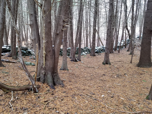 Woodchuck Hill Field and Forest Preserve