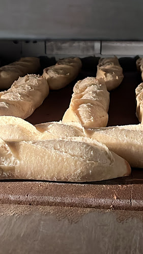 Comentarii opinii despre Fred & Ko