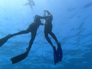 Photo n°3 de Ecole d'apnée | FIFTY SHADES OF BLUE Marseille | Sorties et Cours d'apnée - AIDA - FFESSM à Marseille (École de sports)