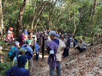 国宝 桜ヶ丘銅鐸・銅戈出土地