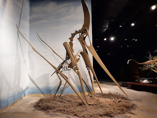 McWane Science Center - Visual
