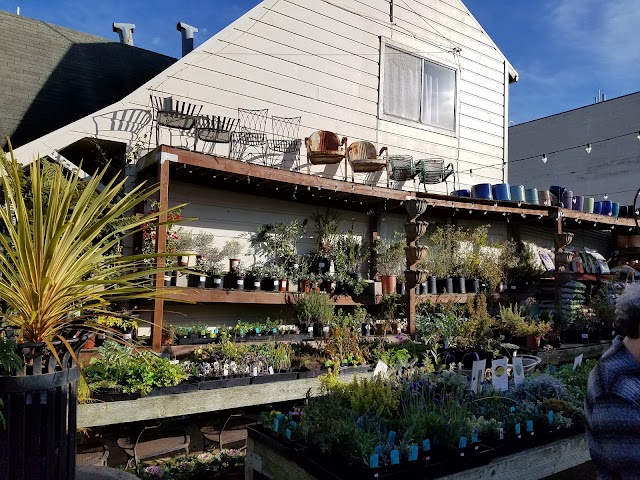 Clement Nursery