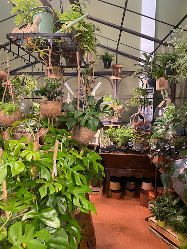 Arbres & Co - Thumbnail