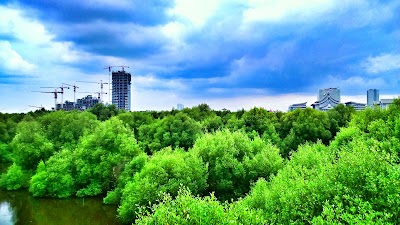 Photos of Taman Wisata Alam Mangrove, Angke Kapuk