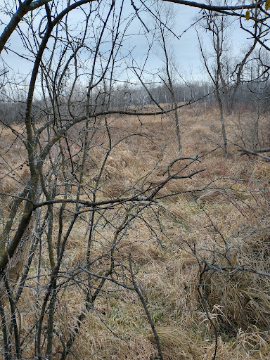 Vermillion River WMA Parking 2
