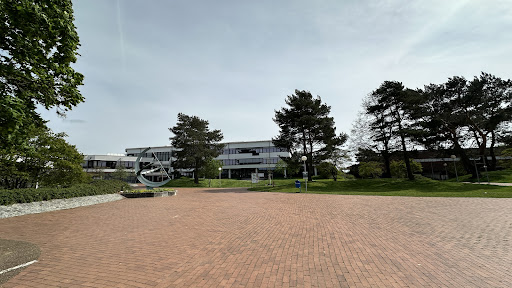 BBS Verden - Thumbnail