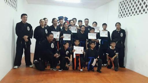 Academia Instituto Alakai