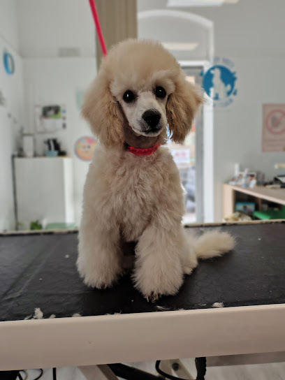 Code Felici Beauty & SPA