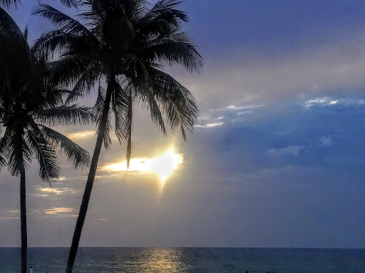 A1A & Hillsboro Blvd - Thumbnail