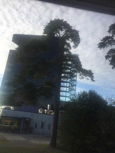Photos of Catwees O&Uuml; Tallinna keskus
