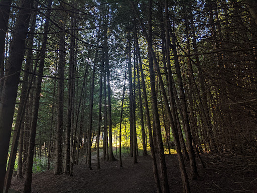 Voyageur Provincial Park - Iroquois Campground - Thumbnail