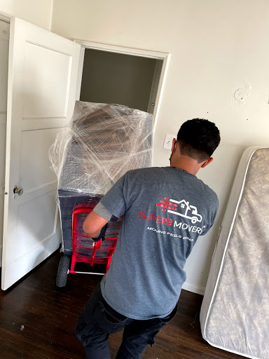 Superb Movers - Visual