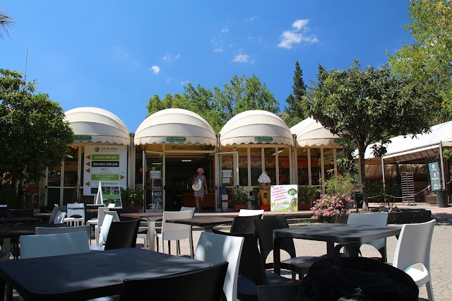 Gole Alcantara Parco Botanico e Geologico