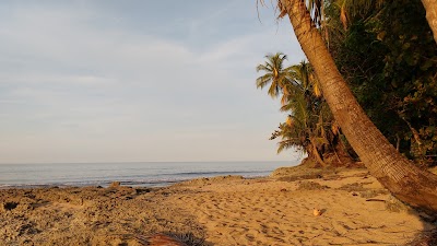 Photos of Gandoca Manzanillo National Wildlife Refuge