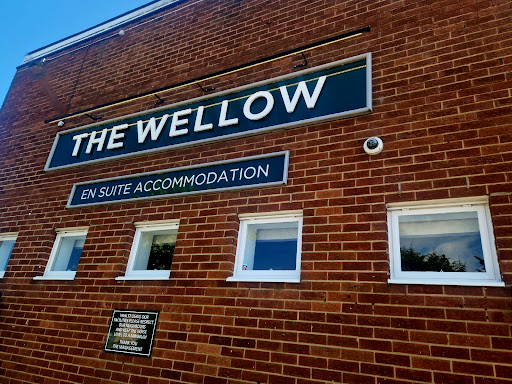Wellow - Visual