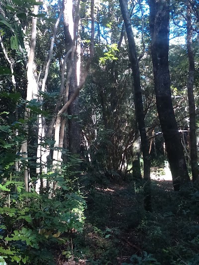 Photos of Pucon Kayak Hostel