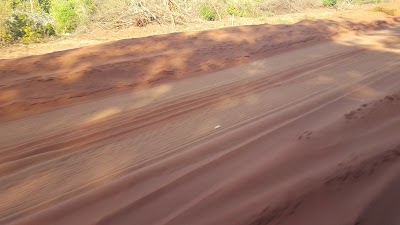 Photos of Arabuko Sokoke Forest