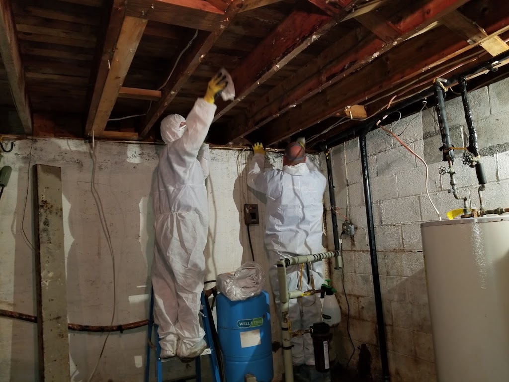 Reliable Remediation photo