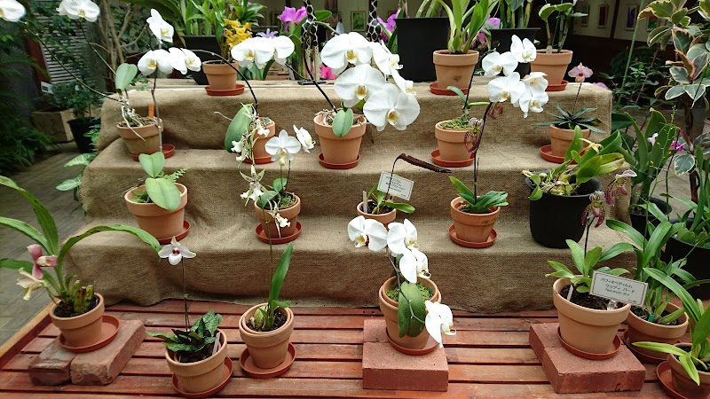 茨城県植物園 熱帯植物館 茨城県那珂市戸 植物園 グルコミ