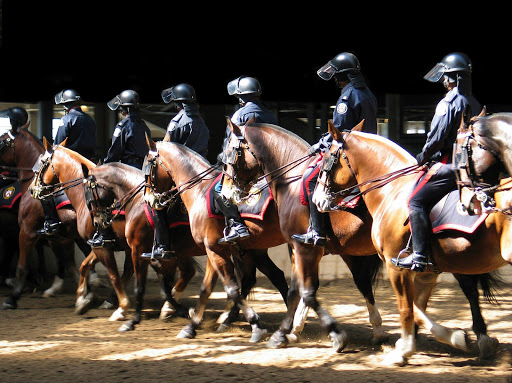 Toronto Police Service - Mounted Unit