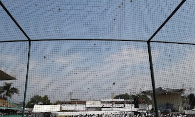 Photos of CAIC Park