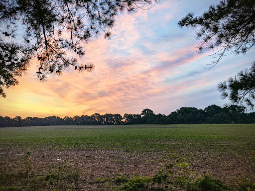 Jackson Mobile Village Exit 68 - Thumbnail
