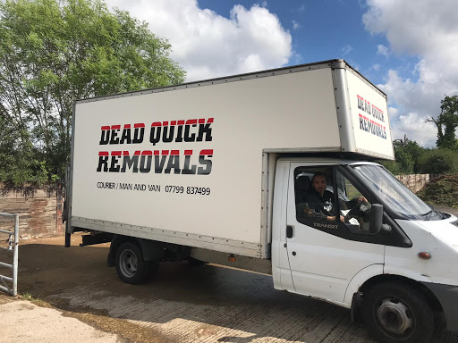 Dead Quick Removals - Thumbnail