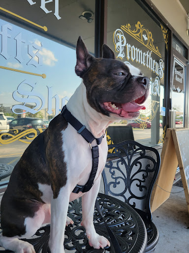 The Shoppes Howell Branch - Thumbnail