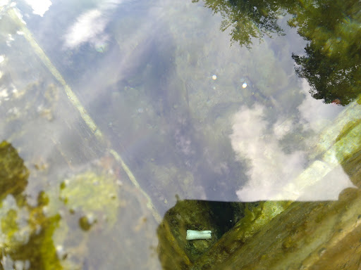 Horbling Spring - Visual