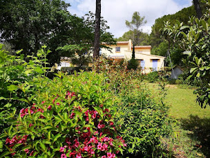 Photo n°29 de La Maison de la Cigale à Forcalqueiret (Maison de vacances)