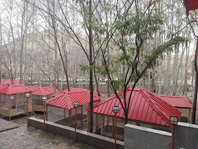 Photos of Qalat star restaurants
