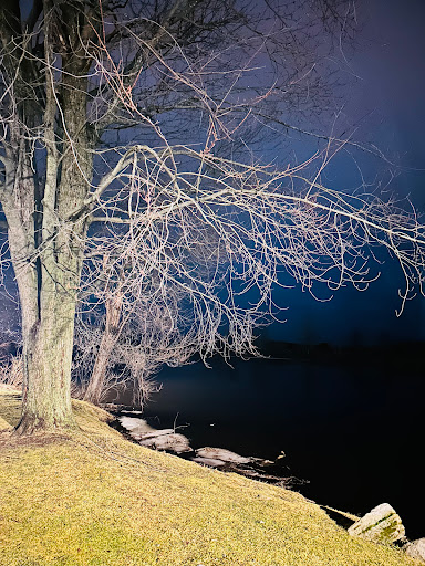 Ives Park Gazebo Gallery - United States