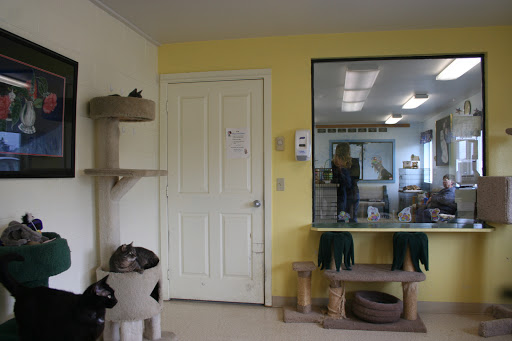 South Pacific County Humane Society - Thumbnail