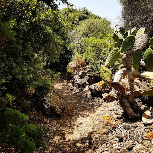 Cala Cottone - Visual