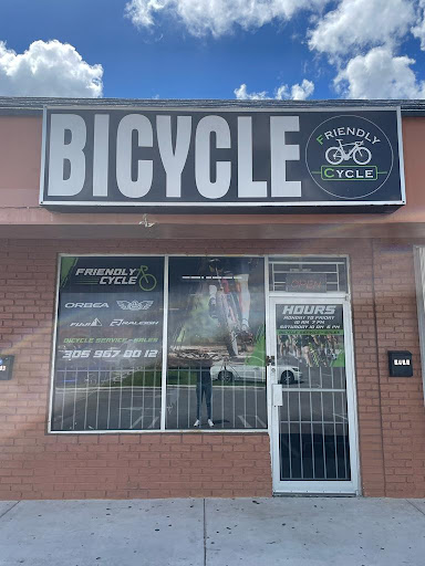 Friendly Cycle - Visual