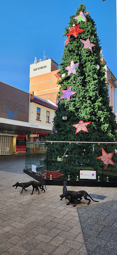 Sussan Launceston - Thumbnail