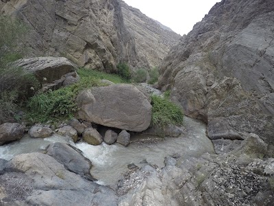 Photos of Idelik Shilat