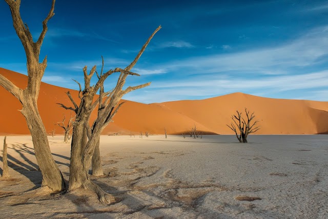 Dead Vlei