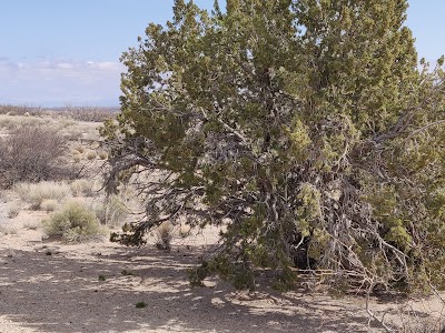 Sevilleta National Wildlife Refuge Admin Building And Visitor Contact Station