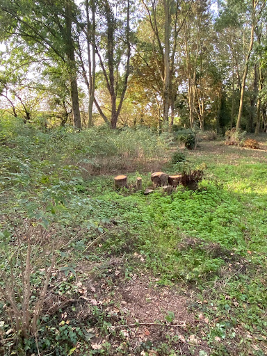 Zouave Woods - Thumbnail