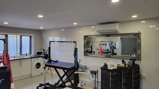 Ci Hapus Happy Dog Grooming Spa