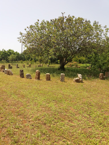 Shivananda Garden - Visual